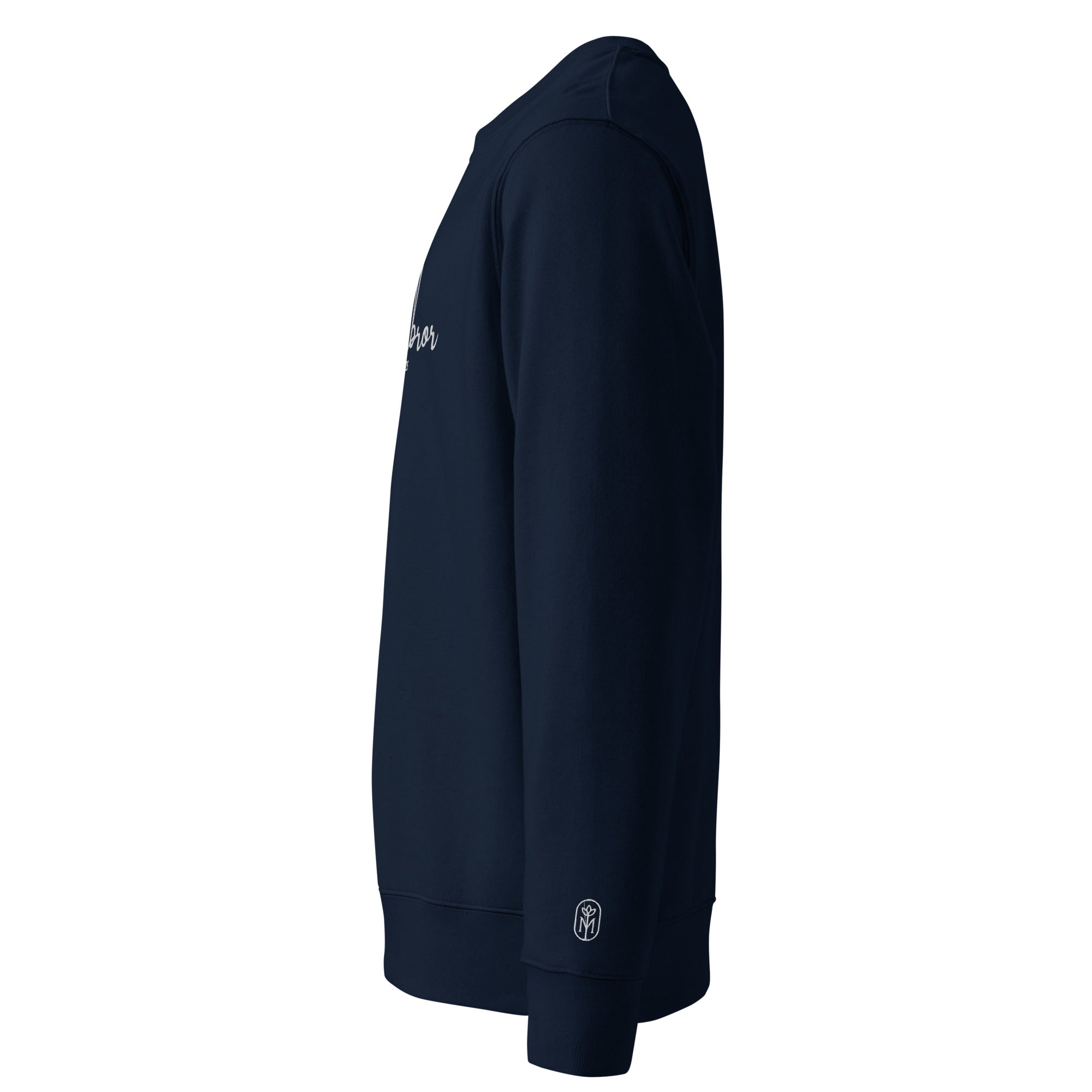 french navy